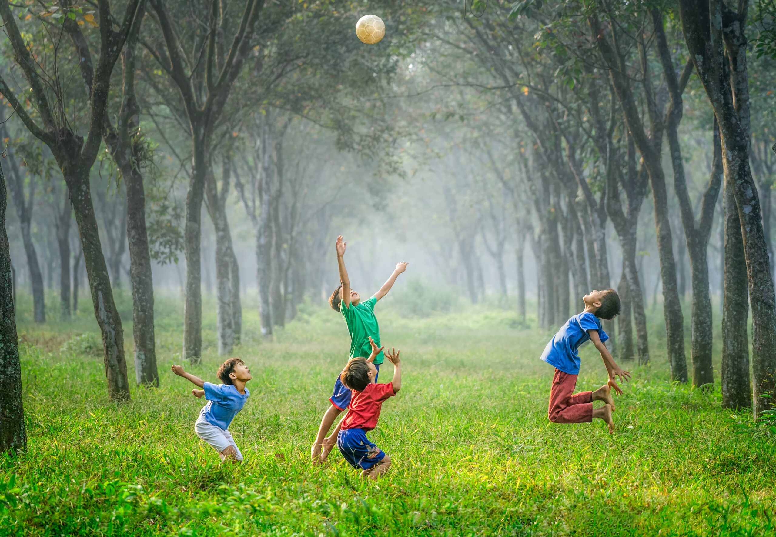 Children playing in an environment full of trees